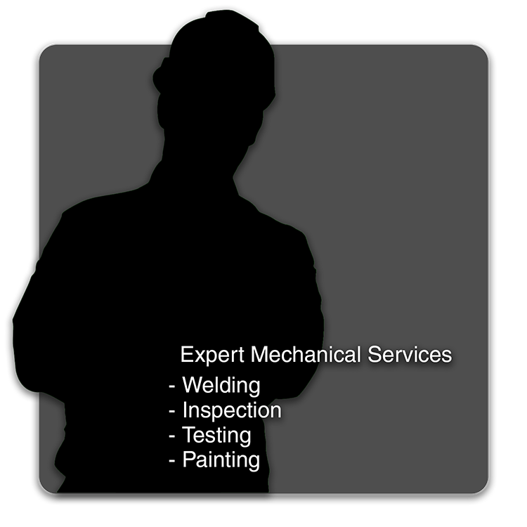 Expert Mechanical Services