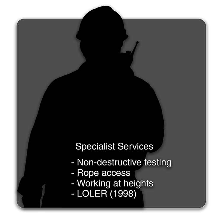 Specialist Services