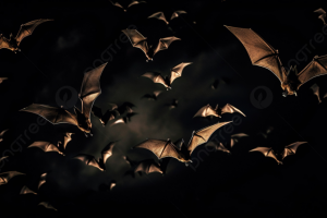 pngtree-many-bats-flying-in-the-dark-picture-image_2779884