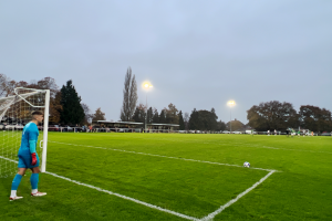 N Brocton Image 23